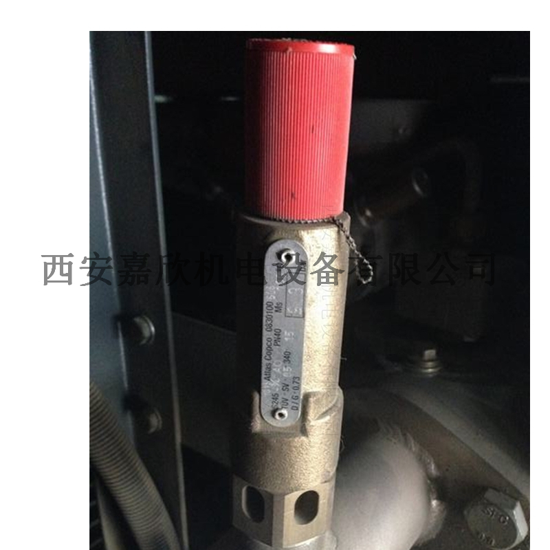 0830100806阿特拉斯空压机安全阀